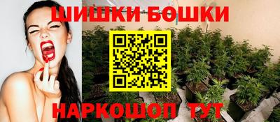 стафф Усть-Илимск