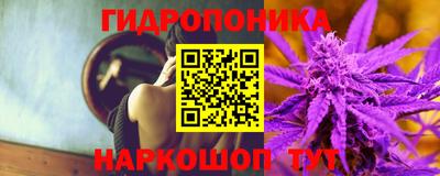 стафф Усть-Илимск