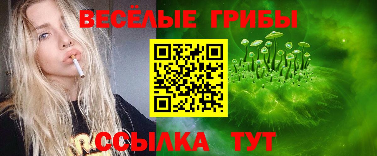 Галлюциногенные грибы прущие грибы  Вход с VPN  Новозыбков 