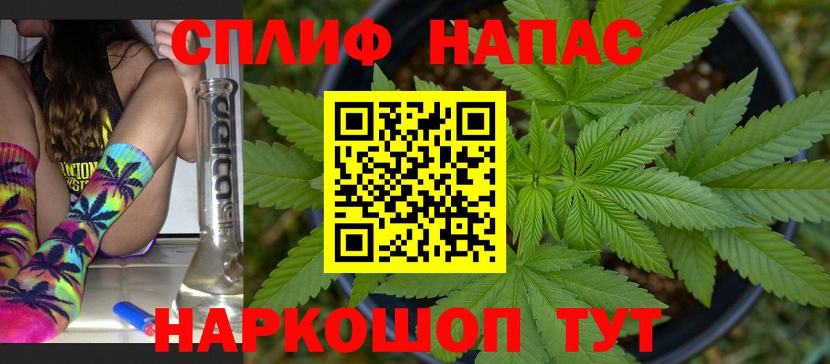 Шишки марихуана план  Конопля план  Бошки Шишки LSD WEED  Вход с VPN  Новозыбков  Конопля White Widow 